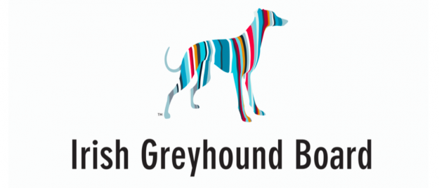 IrishGreyhoundBoard