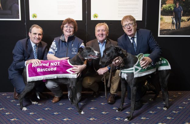 Retired Greyhound Trust pic1.jpg