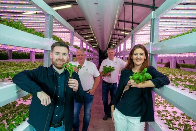 49329e8d86ed4ff79a5b7b1c48d7e009