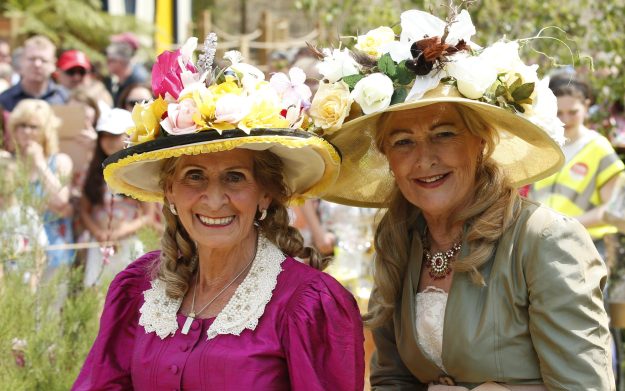 Brightest at Bloom