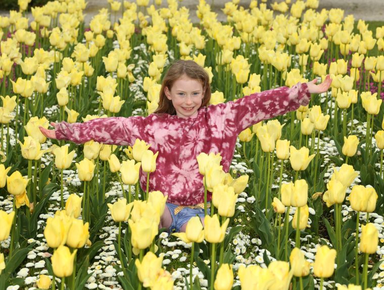 Powerscourt Estate Sustainable Visitor Award 4