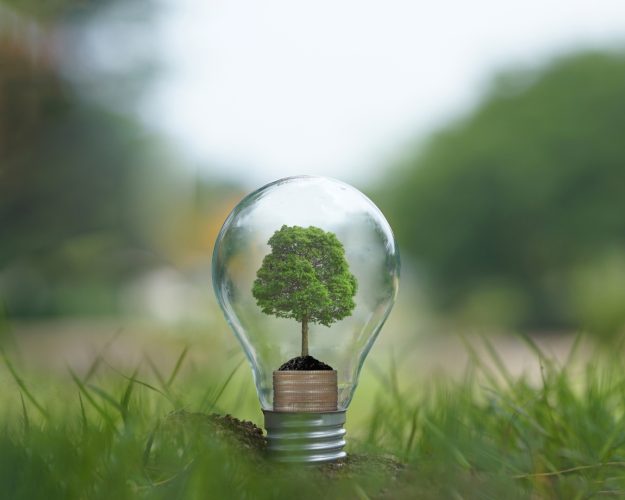 business cork feature image (2)